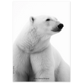 17c19559-0f21-41ab-90bf-579e6091535c